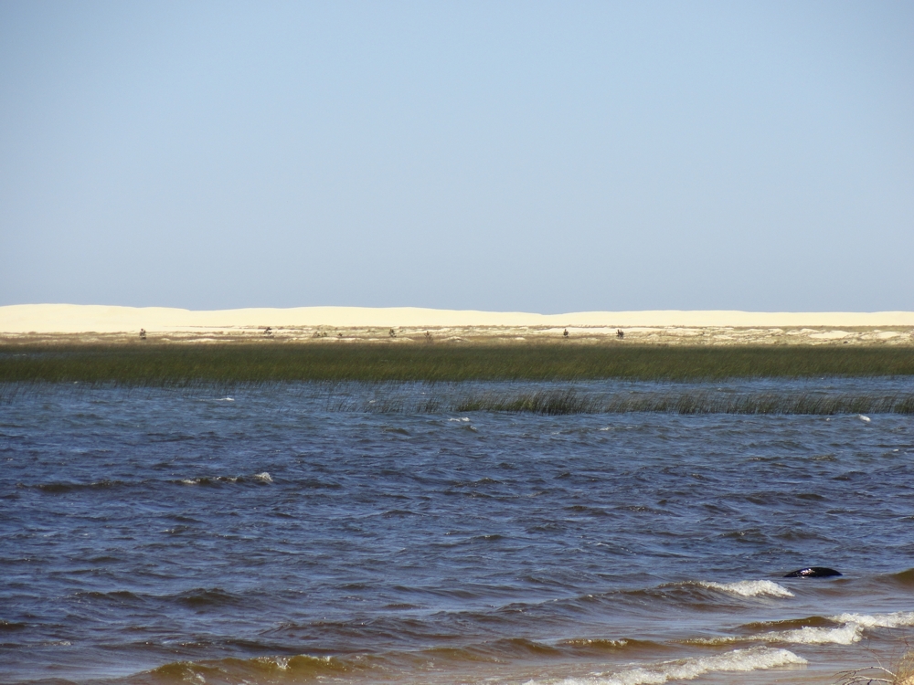 lagoas costeiras _ rs.jpg